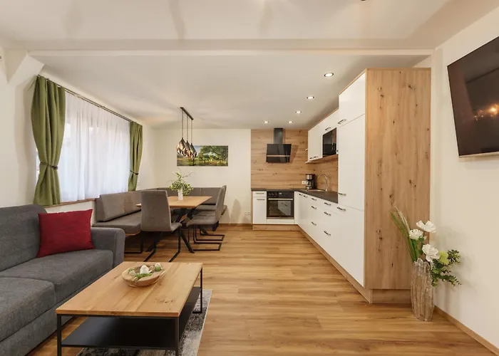 Stögergut by Schladming-Appartements